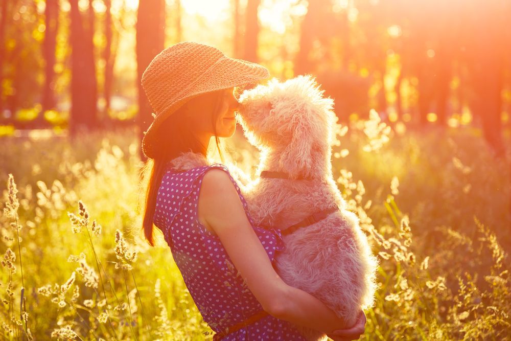 A Woman is Holding a Small Dog in Her Arms in a Field — Angel of Light Nick Turner In East Lismore, NSW