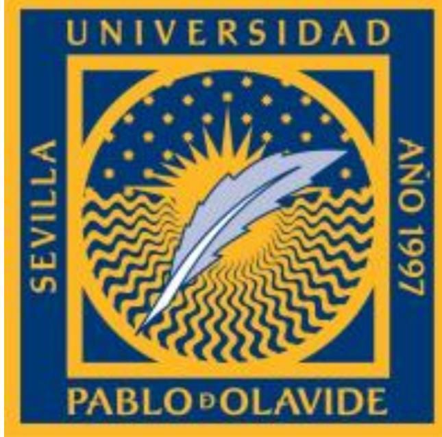 UNIVERSIDAD SEVILLA LOGO