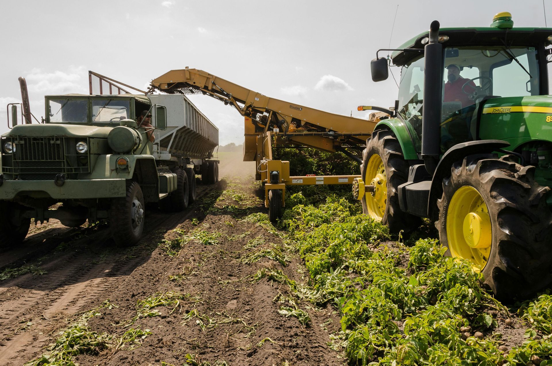 Agricultural machines harvesting crops in a field, with a green tractor and army truck.
