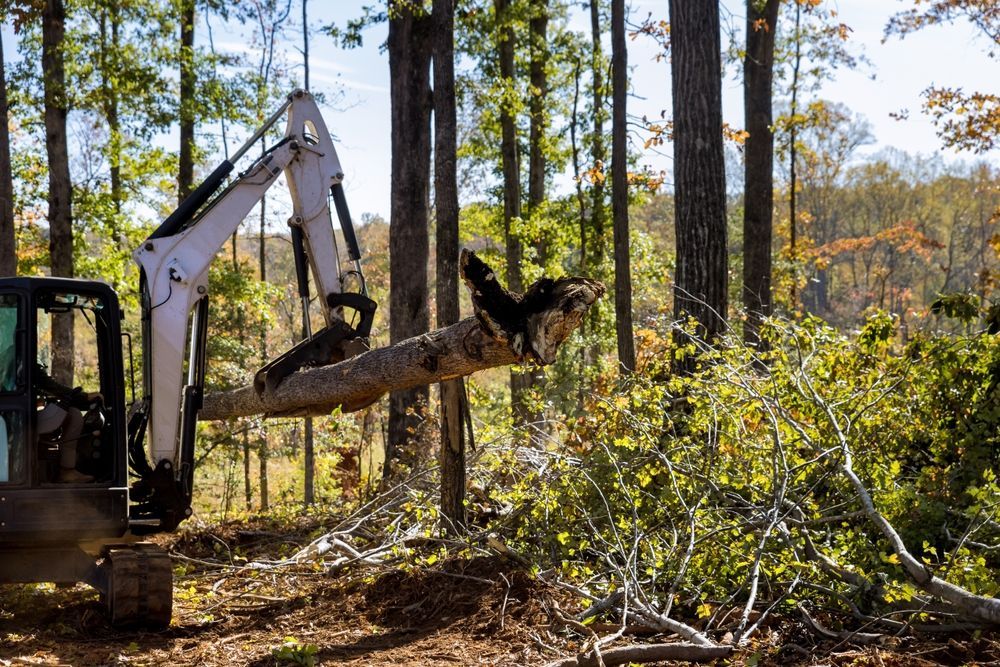 Excavator lifts a tree trunk in a wooded area, debris and other trees visible.