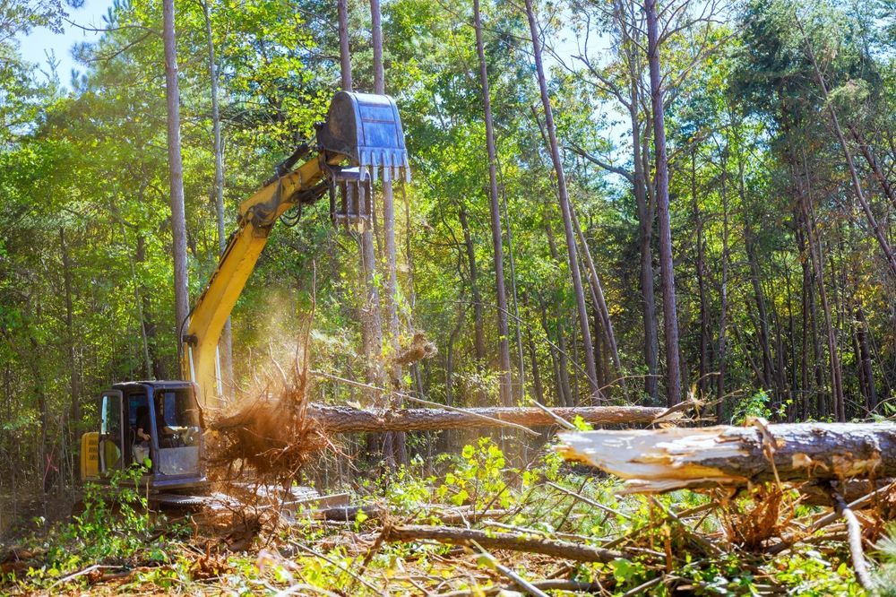 Yellow excavator felling a tree in a forest, wood chips flying.