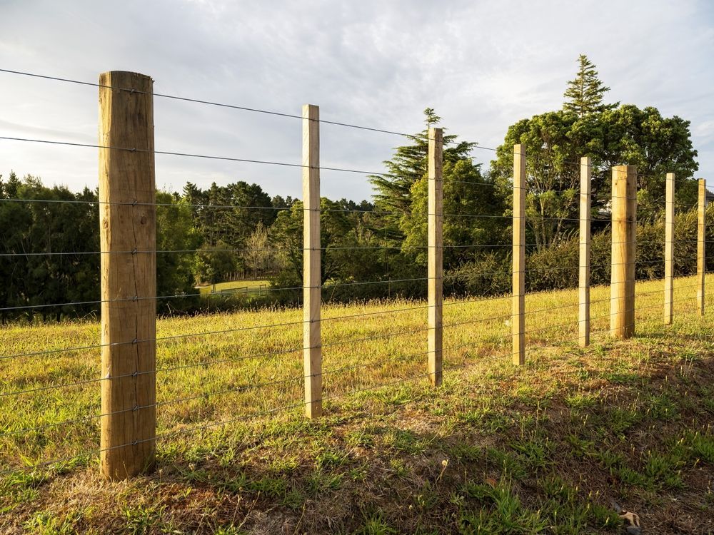 Wooden fence posts and wire fencing in a grassy field with trees in the background.