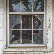 Damaged window awaiting repair by experienced window fitters.