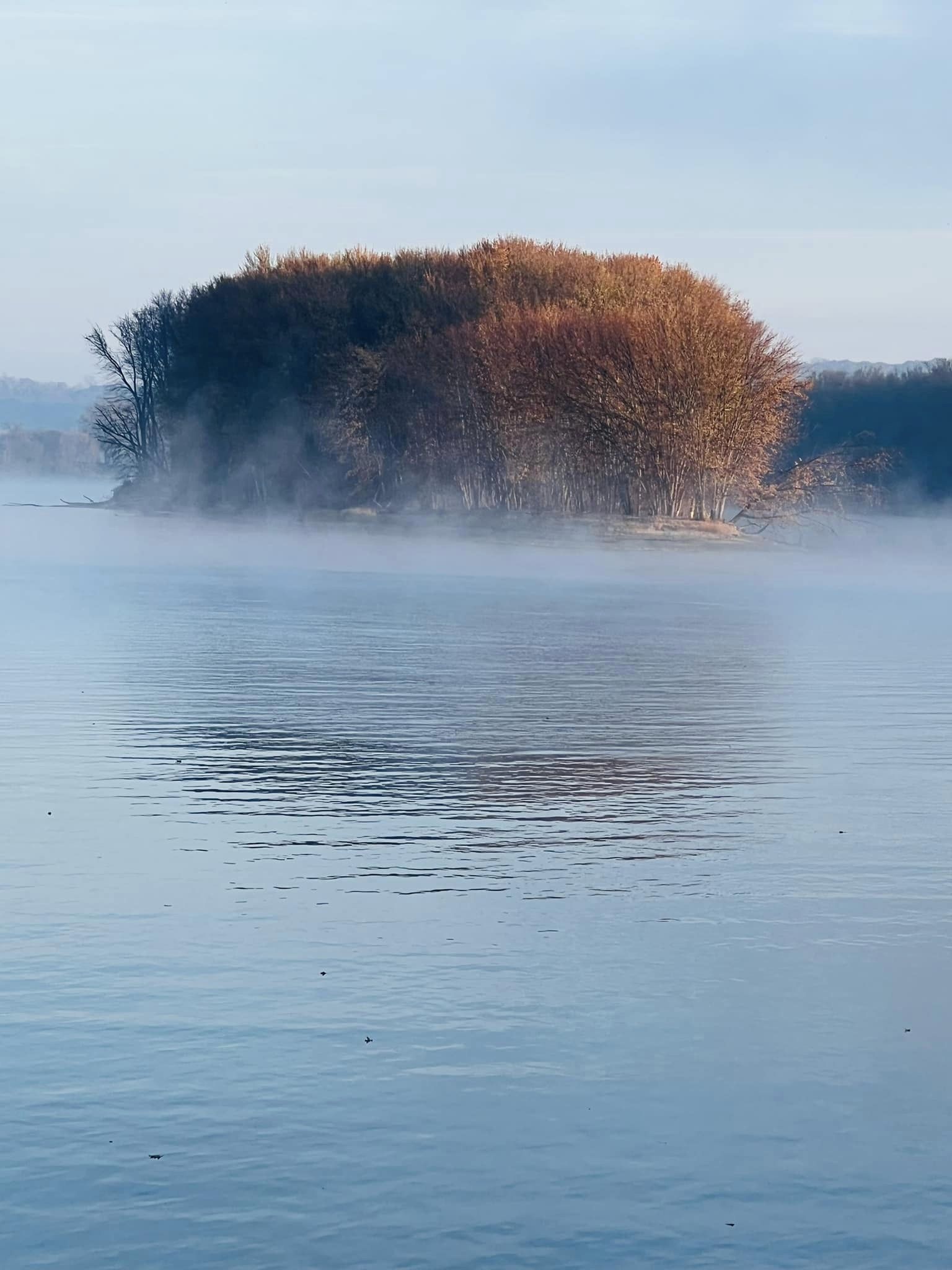 a small island in the middle of a lake with trees on it .