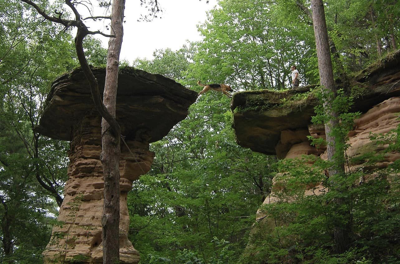 two mushroom shaped rocks in the middle of a forest