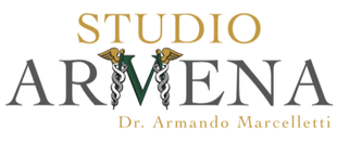 Studio Armena logo