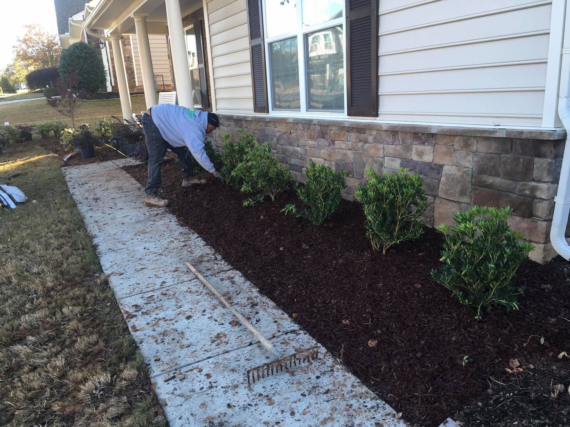 Man mulching a flower bed in front of a house with a concrete walkway and greenery.