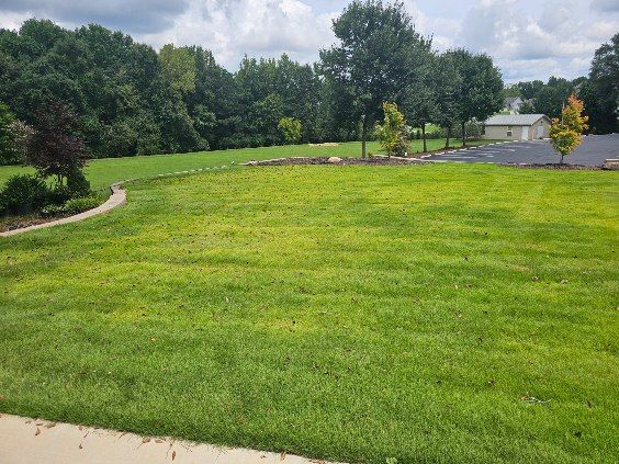 Green lawn with yellowing patches, bordered by trees and a curved rock bed. Overcast sky.