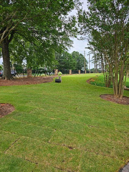 Lawn mower cutting grass in a lush green yard, under a cloudy sky. Brown mulch surrounds trees and bushes.
