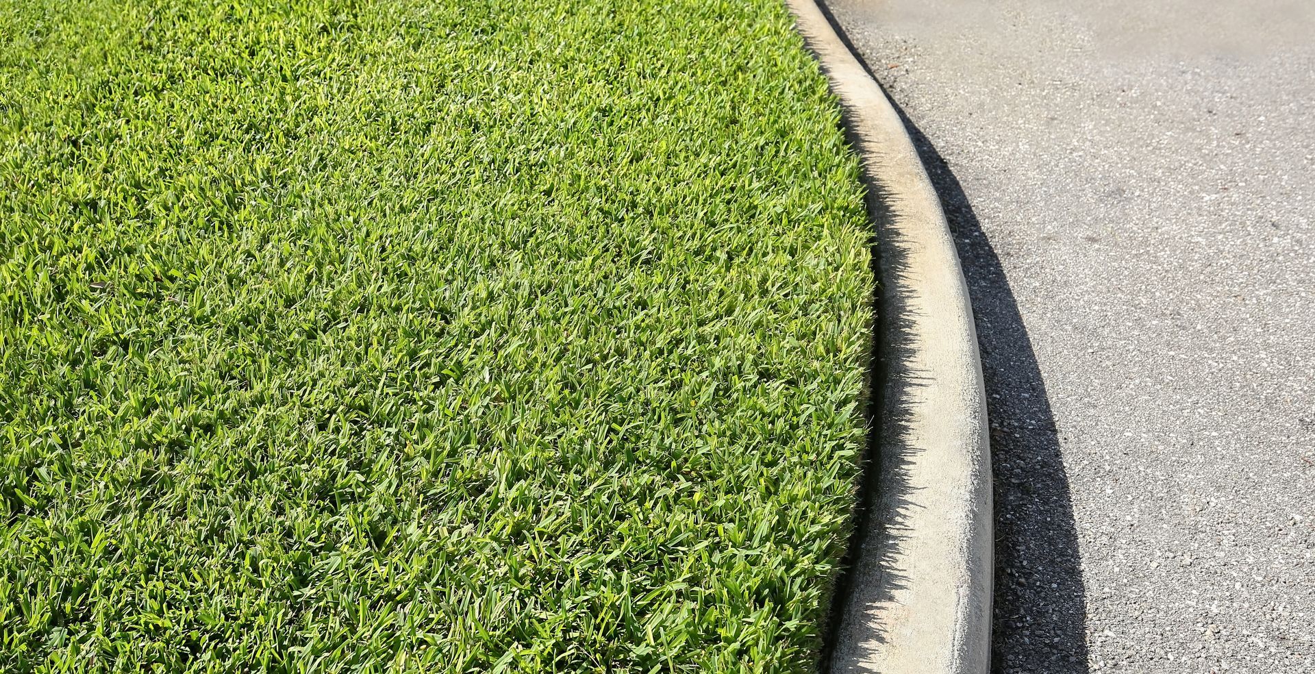 Green grass next to gray asphalt road separated by a concrete curb.