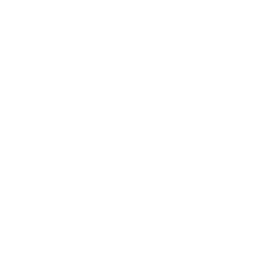 Play Button