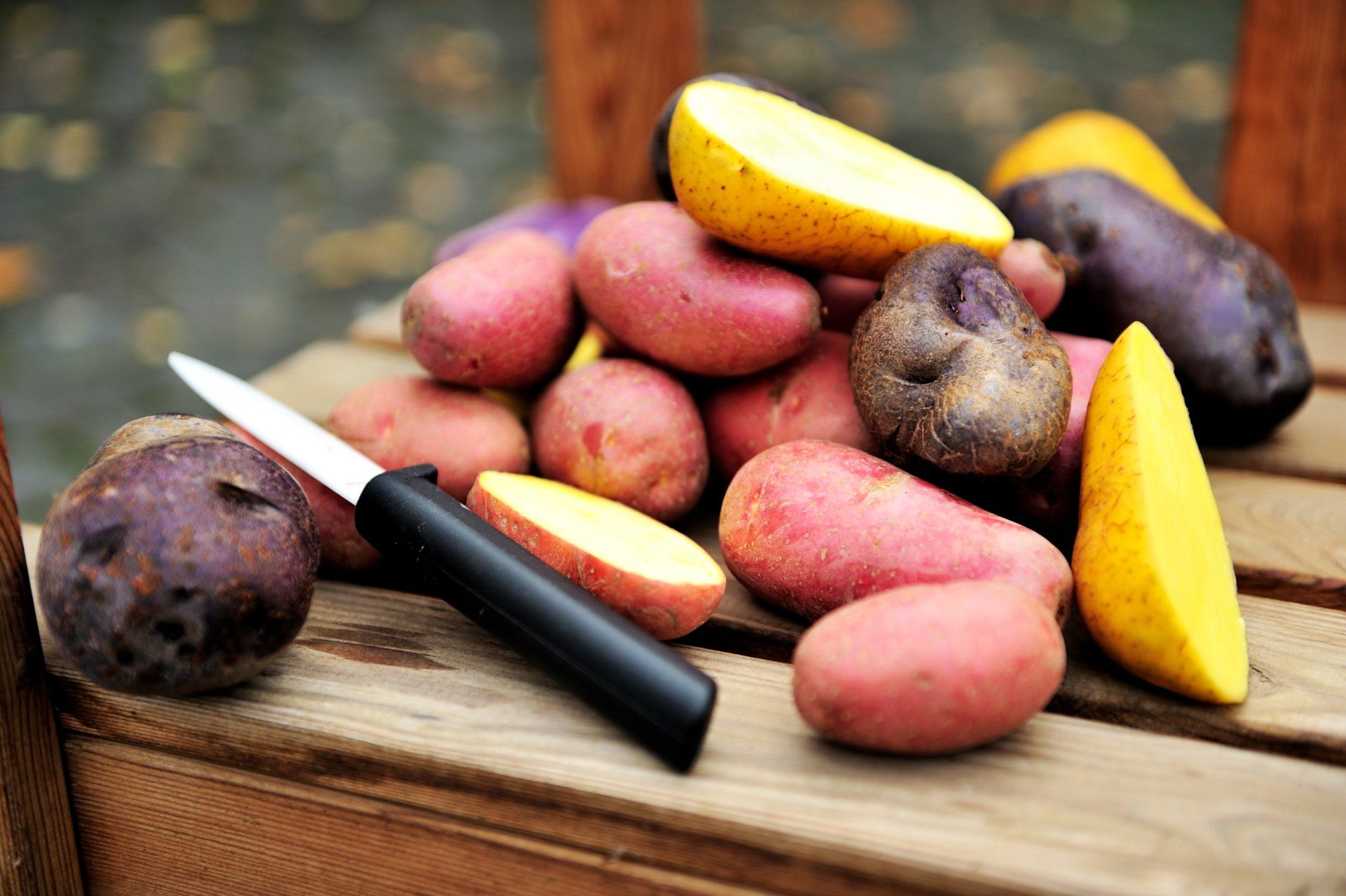 Ein Haufen rot-, violett- und gelbfleischiger Kartoffeln mit einem schwarzen Schälmesser auf einer Holzkiste.