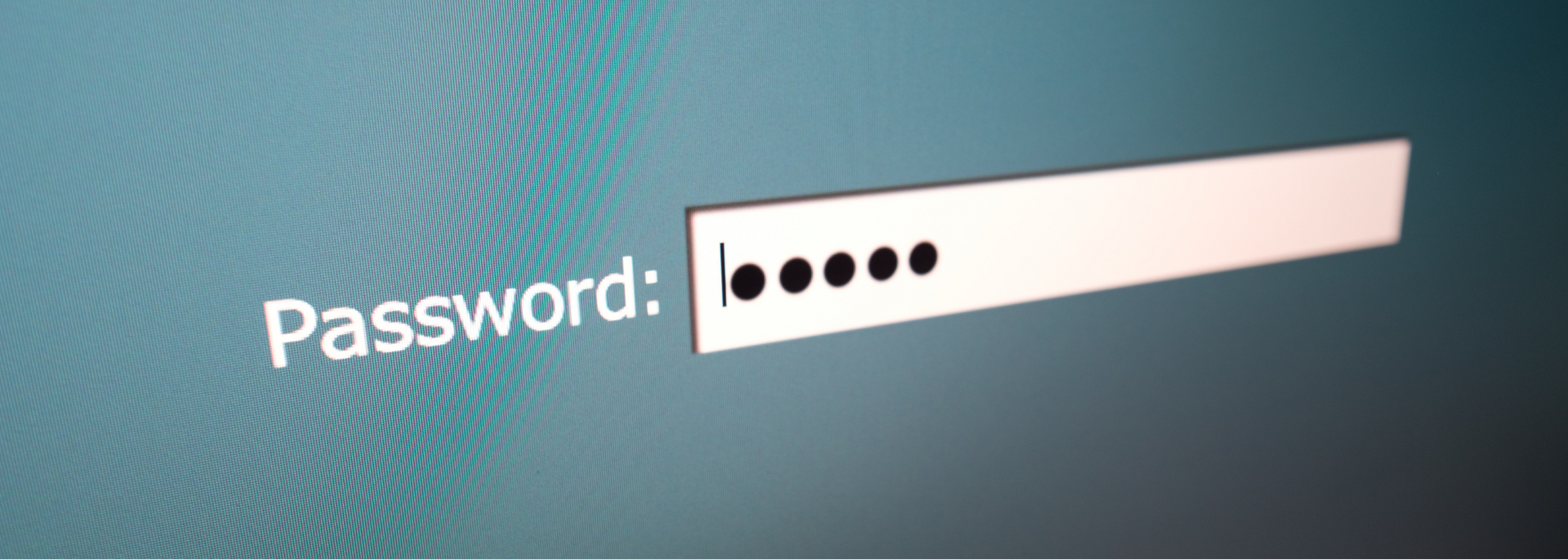 Image of a type in password request