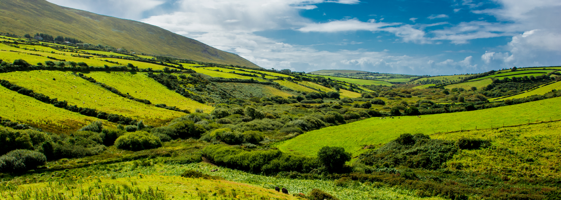 Picture of a rural landscape in Ireland