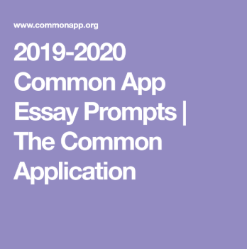 common application supplemental essay