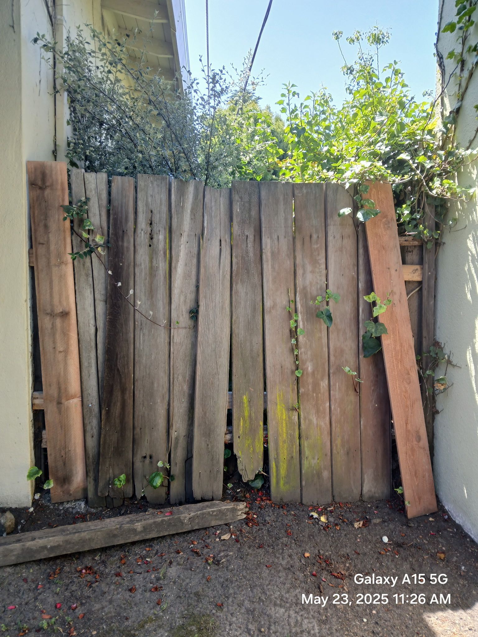 A Good Handyman, Vallejo CA, Benicia CA, Martinez CA, Pacheco CA, Concord CA, Clayton CA, Pleasant Hill CA, Lafayette CA, Orinda CA, Alamo CA, Danville CA, Blackhawk CA, Pinole CA, El Sobrante CA, El Cerrito CA, Fairfield CA, Vacaville CA, American Canyon CA, Walnut Creek CA, Hercules CA, Handyman, Handyman Near me, Vallejo Handyman, Benicia Handyman, Martinez Handyman, Pacheco Handyman, Concord Handyman, Clayton Handyman, Pleasant Hill Handyman, Lafayette Handyman, Orinda Handyman, Alamo Handyman, Danville Handyman, Blackhawk Handyman, Pinole Handyman, El Sobrante Handyman, El Cerrito Handyman, Fairfield Handyman, Vacaville Handyman, American Canyon Handyman, Walnut Creek Handyman, Hercules Handyman, Painter Near Me, Painting, Interior Painting, Paint Baseboards, Paint Trim, Wall Repairs, Wall Patching, Deck Painting, Bathroom Upgrades, Light Plumbing, Plumbing Leak Repair, Replace Bathroom Faucet, Upgrade Bathroom Faucet, Leaky Faucet, Replace Toilets, Replace Toilet, Leaky Toilet, Install New Vanities, Install Grab Bar, Install Safety Bar in Bathtub, Re-Caulk Tub, Re-Caulk Shower, Regrout Tile, Bathroom Fan Installation, Vanity Faucet Installation, Vanity Faucet Replacement, Bathroom Fans, Kitchen Upgrade, Install Garbage Disposal, Replace Garbage Disposal, Repair Leaks Under Sink, Replace Kitchen Faucet, Upgrade Kitchen Faucet, Installing Plumbing Fixtures, Replacing Plumbing Fixture, Light Switch Installation, Outlet Installation, Install Light Dimmers, Handyman Electrical Repairs, Garbage Disposal Installation, Install new Kitchen Appliances, Dishwasher Installation, Stove Installation, Microwave Installation, Oven Installation, Install Light Fixtures, Ceiling Fan Installation, Light Switch Installation, Outlet Installation, Exterior House Upgrades, Decks Repairs, Deck Maintenance, Deck Re-Staining, Fence Repairs, Fence Re-Staining, Sidewalk Crack Repair, Driveway Crack Repair, Locking Mailbox Installation, janitorial services, cleaning services, housekeeping, maid services, commercial cleaning, office cleaning, junk hauling near me, junk removal near me, commercial junk hauling, commercial box hauling, graffiti cleanup, graffiti mirror removal, graffiti mirror replacement