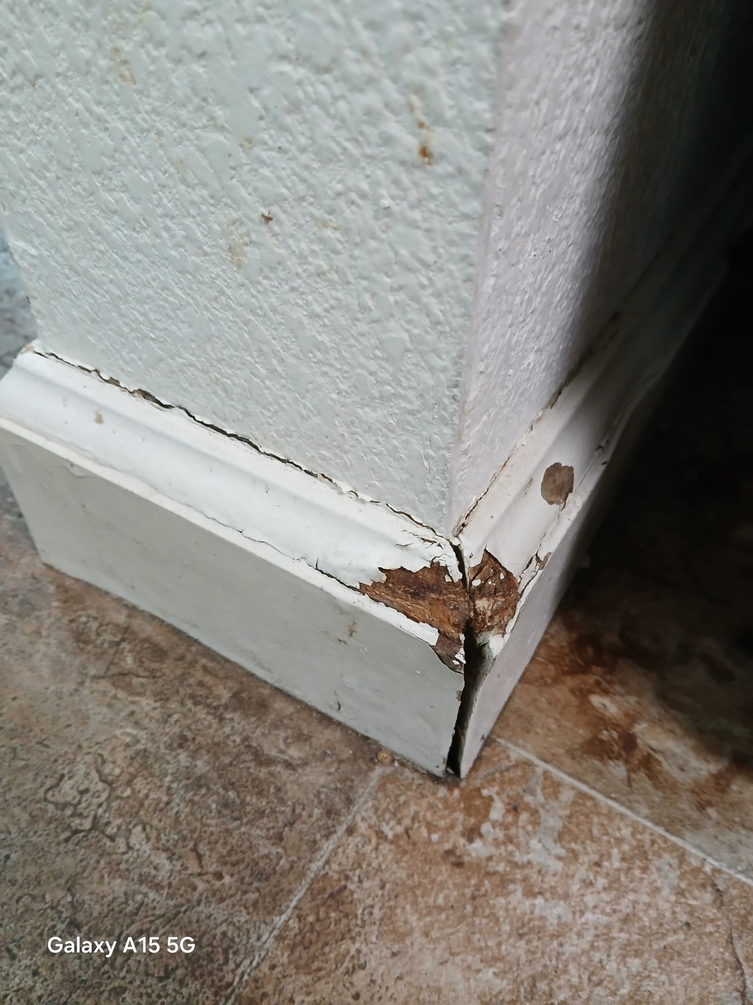 A Good Handyman, Vallejo CA, Benicia CA, Martinez CA, Pacheco CA, Concord CA, Clayton CA, Pleasant Hill CA, Lafayette CA, Orinda CA, Alamo CA, Danville CA, Blackhawk CA, Pinole CA, El Sobrante CA, El Cerrito CA, Fairfield CA, Vacaville CA, American Canyon CA, Walnut Creek CA, Hercules CA, Handyman, Handyman Near me, Vallejo Handyman, Benicia Handyman, Martinez Handyman, Pacheco Handyman, Concord Handyman, Clayton Handyman, Pleasant Hill Handyman, Lafayette Handyman, Orinda Handyman, Alamo Handyman, Danville Handyman, Blackhawk Handyman, Pinole Handyman, El Sobrante Handyman, El Cerrito Handyman, Fairfield Handyman, Vacaville Handyman, American Canyon Handyman, Walnut Creek Handyman, Hercules Handyman, Painter Near Me, Painting, Interior Painting, Paint Baseboards, Paint Trim, Wall Repairs, Wall Patching, Deck Painting, Bathroom Upgrades, Light Plumbing, Plumbing Leak Repair, Replace Bathroom Faucet, Upgrade Bathroom Faucet, Leaky Faucet, Replace Toilets, Replace Toilet, Leaky Toilet, Install New Vanities, Install Grab Bar, Install Safety Bar in Bathtub, Re-Caulk Tub, Re-Caulk Shower, Regrout Tile, Bathroom Fan Installation, Vanity Faucet Installation, Vanity Faucet Replacement, Bathroom Fans, Kitchen Upgrade, Install Garbage Disposal, Replace Garbage Disposal, Repair Leaks Under Sink, Replace Kitchen Faucet, Upgrade Kitchen Faucet, Installing Plumbing Fixtures, Replacing Plumbing Fixture, Light Switch Installation, Outlet Installation, Install Light Dimmers, Handyman Electrical Repairs, Garbage Disposal Installation, Install new Kitchen Appliances, Dishwasher Installation, Stove Installation, Microwave Installation, Oven Installation, Install Light Fixtures, Ceiling Fan Installation, Light Switch Installation, Outlet Installation, Exterior House Upgrades, Decks Repairs, Deck Maintenance, Deck Re-Staining, Fence Repairs, Fence Re-Staining, Sidewalk Crack Repair, Driveway Crack Repair, Locking Mailbox Installation, janitorial services, cleaning services, housekeeping, maid services, commercial cleaning, office cleaning, junk hauling near me, junk removal near me, commercial junk hauling, commercial box hauling, graffiti cleanup, graffiti mirror removal, graffiti mirror replacement