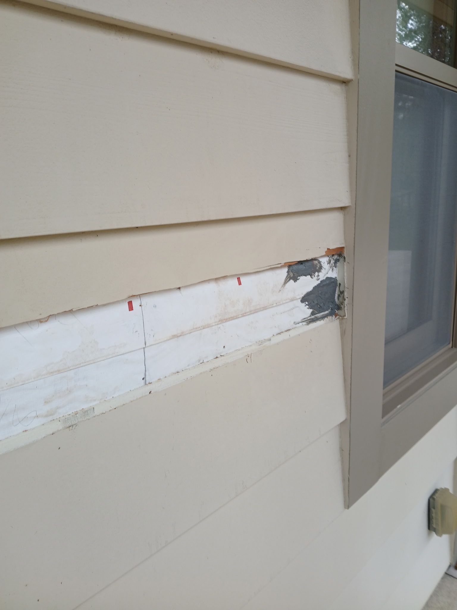 A Good Handyman, Vallejo CA, Benicia CA, Martinez CA, Pacheco CA, Concord CA, Clayton CA, Pleasant Hill CA, Lafayette CA, Orinda CA, Alamo CA, Danville CA, Blackhawk CA, Pinole CA, El Sobrante CA, El Cerrito CA, Fairfield CA, Vacaville CA, American Canyon CA, Walnut Creek CA, Hercules CA, Handyman, Handyman Near me, Vallejo Handyman, Benicia Handyman, Martinez Handyman, Pacheco Handyman, Concord Handyman, Clayton Handyman, Pleasant Hill Handyman, Lafayette Handyman, Orinda Handyman, Alamo Handyman, Danville Handyman, Blackhawk Handyman, Pinole Handyman, El Sobrante Handyman, El Cerrito Handyman, Fairfield Handyman, Vacaville Handyman, American Canyon Handyman, Walnut Creek Handyman, Hercules Handyman, Painter Near Me, Painting, Interior Painting, Paint Baseboards, Paint Trim, Wall Repairs, Wall Patching, Deck Painting, Bathroom Upgrades, Light Plumbing, Plumbing Leak Repair, Replace Bathroom Faucet, Upgrade Bathroom Faucet, Leaky Faucet, Replace Toilets, Replace Toilet, Leaky Toilet, Install New Vanities, Install Grab Bar, Install Safety Bar in Bathtub, Re-Caulk Tub, Re-Caulk Shower, Regrout Tile, Bathroom Fan Installation, Vanity Faucet Installation, Vanity Faucet Replacement, Bathroom Fans, Kitchen Upgrade, Install Garbage Disposal, Replace Garbage Disposal, Repair Leaks Under Sink, Replace Kitchen Faucet, Upgrade Kitchen Faucet, Installing Plumbing Fixtures, Replacing Plumbing Fixture, Light Switch Installation, Outlet Installation, Install Light Dimmers, Handyman Electrical Repairs, Garbage Disposal Installation, Install new Kitchen Appliances, Dishwasher Installation, Stove Installation, Microwave Installation, Oven Installation, Install Light Fixtures, Ceiling Fan Installation, Light Switch Installation, Outlet Installation, Exterior House Upgrades, Decks Repairs, Deck Maintenance, Deck Re-Staining, Fence Repairs, Fence Re-Staining, Sidewalk Crack Repair, Driveway Crack Repair, Locking Mailbox Installation, janitorial services, cleaning services, housekeeping, maid services, commercial cleaning, office cleaning