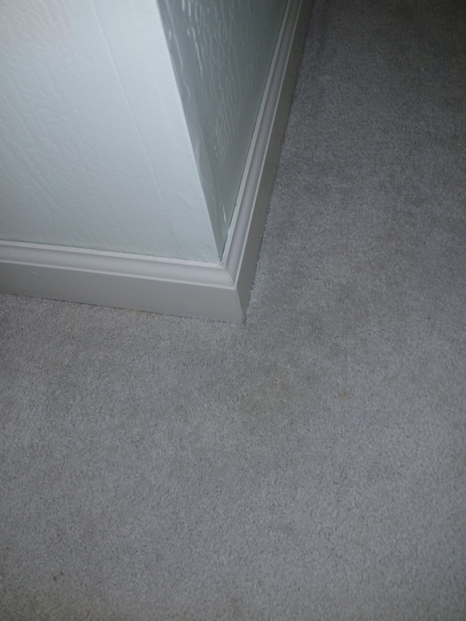 A Good Handyman, Vallejo CA, Benicia CA, Martinez CA, Pacheco CA, Concord CA, Clayton CA, Pleasant Hill CA, Lafayette CA, Orinda CA, Alamo CA, Danville CA, Blackhawk CA, Pinole CA, El Sobrante CA, El Cerrito CA, Fairfield CA, Vacaville CA, American Canyon CA, Walnut Creek CA, Hercules CA, Handyman, Handyman Near me, Vallejo Handyman, Benicia Handyman, Martinez Handyman, Pacheco Handyman, Concord Handyman, Clayton Handyman, Pleasant Hill Handyman, Lafayette Handyman, Orinda Handyman, Alamo Handyman, Danville Handyman, Blackhawk Handyman, Pinole Handyman, El Sobrante Handyman, El Cerrito Handyman, Fairfield Handyman, Vacaville Handyman, American Canyon Handyman, Walnut Creek Handyman, Hercules Handyman, Painter Near Me, Painting, Interior Painting, Paint Baseboards, Paint Trim, Wall Repairs, Wall Patching, Deck Painting, Bathroom Upgrades, Light Plumbing, Plumbing Leak Repair, Replace Bathroom Faucet, Upgrade Bathroom Faucet, Leaky Faucet, Replace Toilets, Replace Toilet, Leaky Toilet, Install New Vanities, Install Grab Bar, Install Safety Bar in Bathtub, Re-Caulk Tub, Re-Caulk Shower, Regrout Tile, Bathroom Fan Installation, Vanity Faucet Installation, Vanity Faucet Replacement, Bathroom Fans, Kitchen Upgrade, Install Garbage Disposal, Replace Garbage Disposal, Repair Leaks Under Sink, Replace Kitchen Faucet, Upgrade Kitchen Faucet, Installing Plumbing Fixtures, Replacing Plumbing Fixture, Light Switch Installation, Outlet Installation, Install Light Dimmers, Handyman Electrical Repairs, Garbage Disposal Installation, Install new Kitchen Appliances, Dishwasher Installation, Stove Installation, Microwave Installation, Oven Installation, Install Light Fixtures, Ceiling Fan Installation, Light Switch Installation, Outlet Installation, Exterior House Upgrades, Decks Repairs, Deck Maintenance, Deck Re-Staining, Fence Repairs, Fence Re-Staining, Sidewalk Crack Repair, Driveway Crack Repair, Locking Mailbox Installation, janitorial services, cleaning services, housekeeping, maid services, commercial cleaning, office cleaning, junk hauling near me, junk removal near me, commercial junk hauling, commercial box hauling, graffiti cleanup, graffiti mirror removal, graffiti mirror replacement