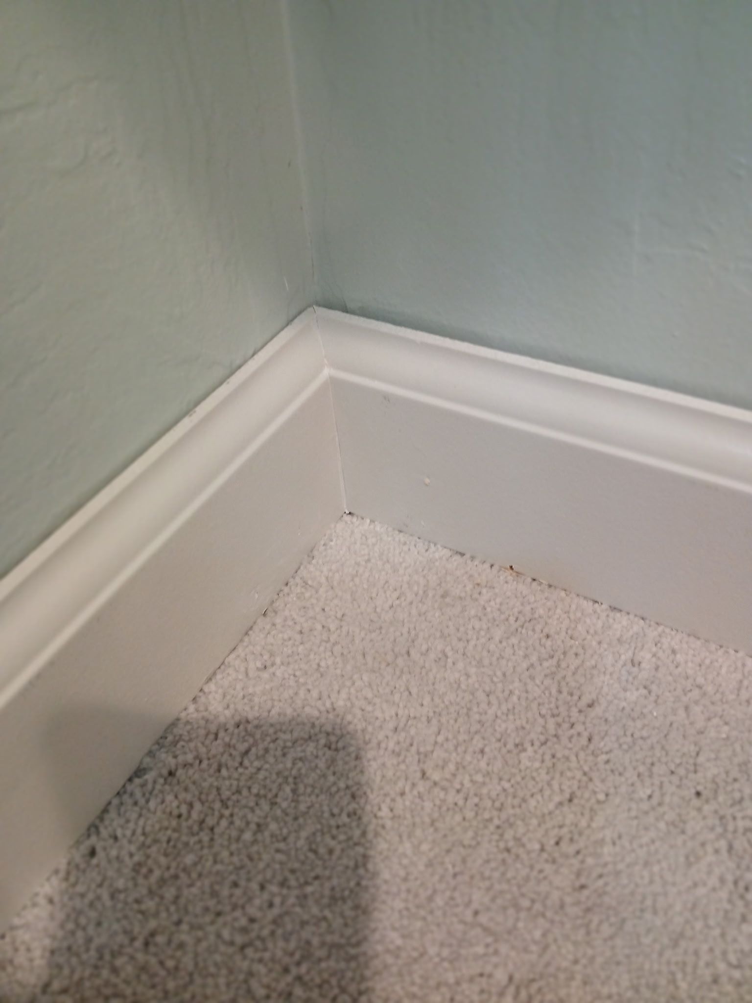 A Good Handyman, Vallejo CA, Benicia CA, Martinez CA, Pacheco CA, Concord CA, Clayton CA, Pleasant Hill CA, Lafayette CA, Orinda CA, Alamo CA, Danville CA, Blackhawk CA, Pinole CA, El Sobrante CA, El Cerrito CA, Fairfield CA, Vacaville CA, American Canyon CA, Walnut Creek CA, Hercules CA, Handyman, Handyman Near me, Vallejo Handyman, Benicia Handyman, Martinez Handyman, Pacheco Handyman, Concord Handyman, Clayton Handyman, Pleasant Hill Handyman, Lafayette Handyman, Orinda Handyman, Alamo Handyman, Danville Handyman, Blackhawk Handyman, Pinole Handyman, El Sobrante Handyman, El Cerrito Handyman, Fairfield Handyman, Vacaville Handyman, American Canyon Handyman, Walnut Creek Handyman, Hercules Handyman, Painter Near Me, Painting, Interior Painting, Paint Baseboards, Paint Trim, Wall Repairs, Wall Patching, Deck Painting, Bathroom Upgrades, Light Plumbing, Plumbing Leak Repair, Replace Bathroom Faucet, Upgrade Bathroom Faucet, Leaky Faucet, Replace Toilets, Replace Toilet, Leaky Toilet, Install New Vanities, Install Grab Bar, Install Safety Bar in Bathtub, Re-Caulk Tub, Re-Caulk Shower, Regrout Tile, Bathroom Fan Installation, Vanity Faucet Installation, Vanity Faucet Replacement, Bathroom Fans, Kitchen Upgrade, Install Garbage Disposal, Replace Garbage Disposal, Repair Leaks Under Sink, Replace Kitchen Faucet, Upgrade Kitchen Faucet, Installing Plumbing Fixtures, Replacing Plumbing Fixture, Light Switch Installation, Outlet Installation, Install Light Dimmers, Handyman Electrical Repairs, Garbage Disposal Installation, Install new Kitchen Appliances, Dishwasher Installation, Stove Installation, Microwave Installation, Oven Installation, Install Light Fixtures, Ceiling Fan Installation, Light Switch Installation, Outlet Installation, Exterior House Upgrades, Decks Repairs, Deck Maintenance, Deck Re-Staining, Fence Repairs, Fence Re-Staining, Sidewalk Crack Repair, Driveway Crack Repair, Locking Mailbox Installation, janitorial services, cleaning services, housekeeping, maid services, commercial cleaning, office cleaning, junk hauling near me, junk removal near me, commercial junk hauling, commercial box hauling, graffiti cleanup, graffiti mirror removal, graffiti mirror replacement