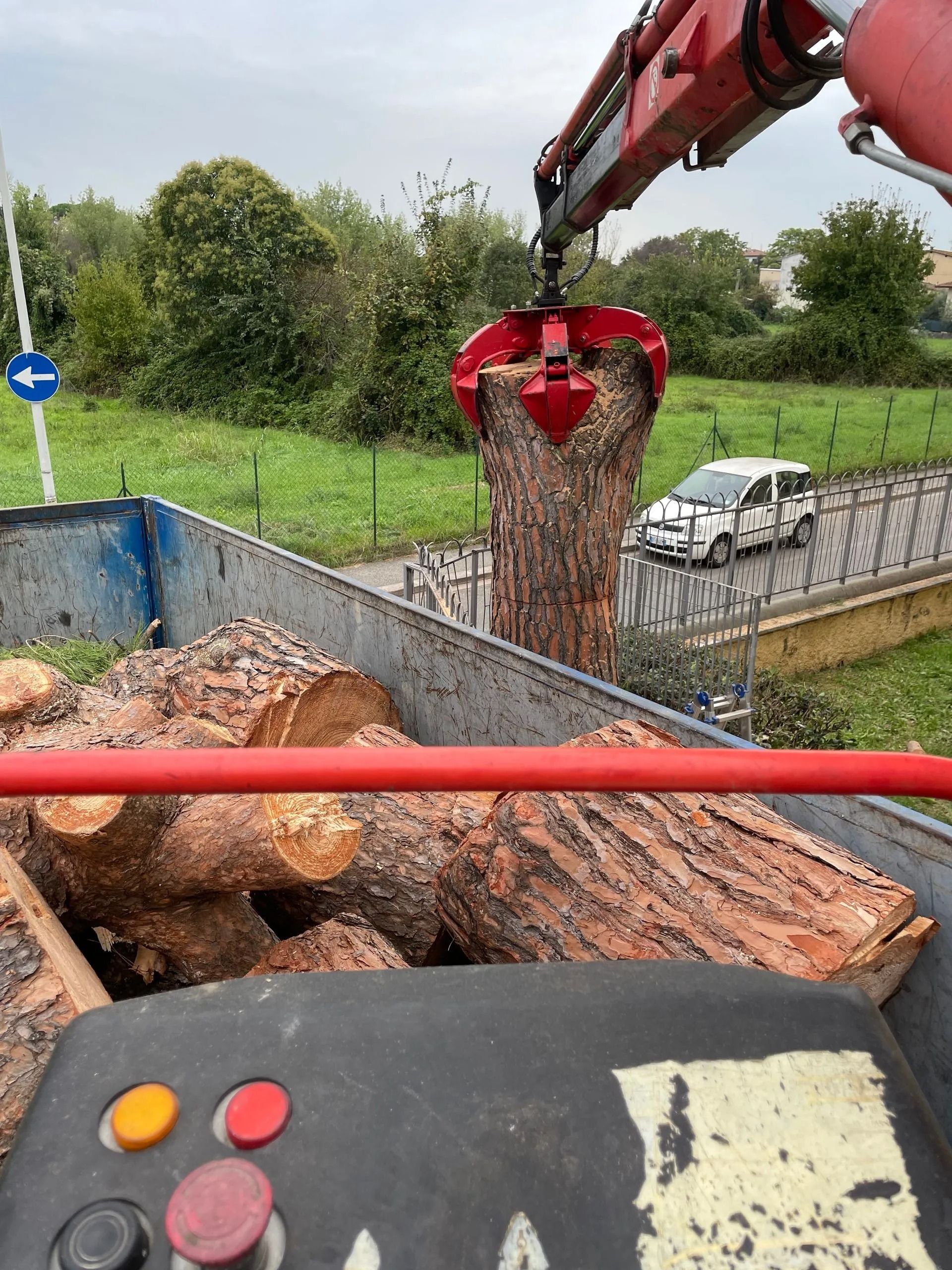 Una gru solleva un grosso tronco dal cassone di un camion; altri tronchi riempiono il cassone.