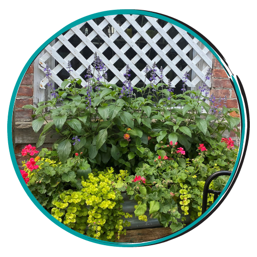 Colorful garden planter with green, yellow, and pink flowers against a white lattice fence