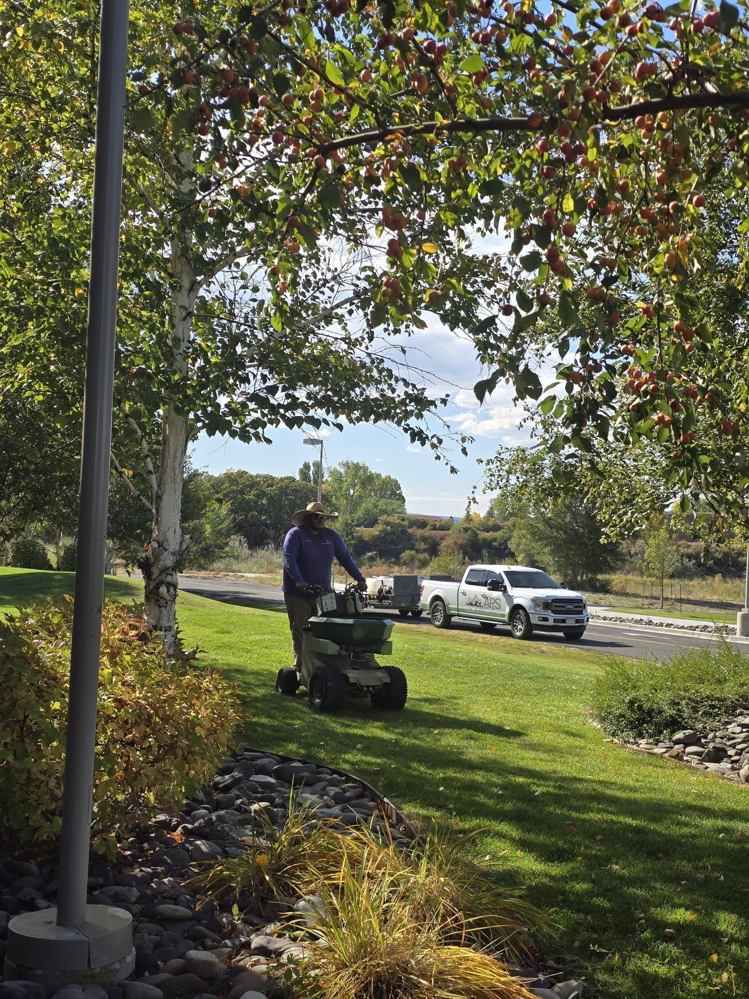 Man spreading granular product on lawn with a spreader, next to a white pickup truck on a sunny day.