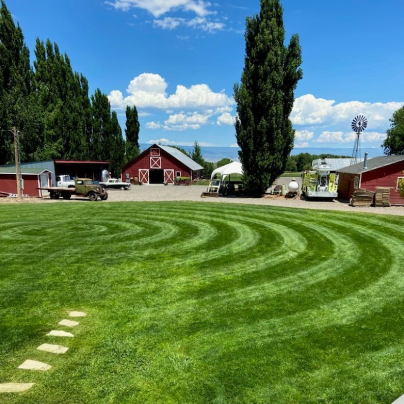 Green lawn with curved mowing pattern, red barn, and windmill under a blue sky.
