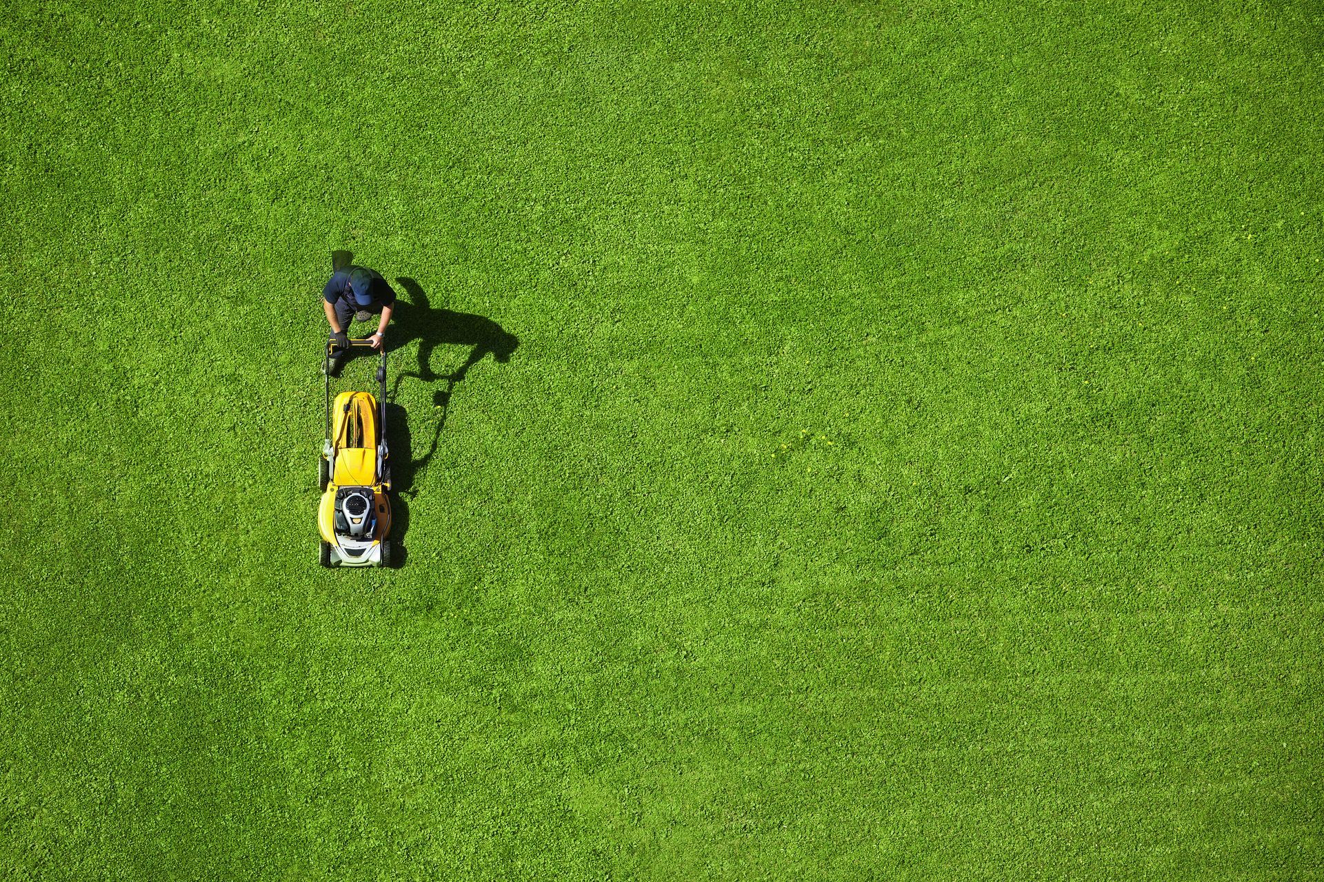 A person pushing a yellow lawn mower across a vast, bright green grassy field from an overhead perspective.