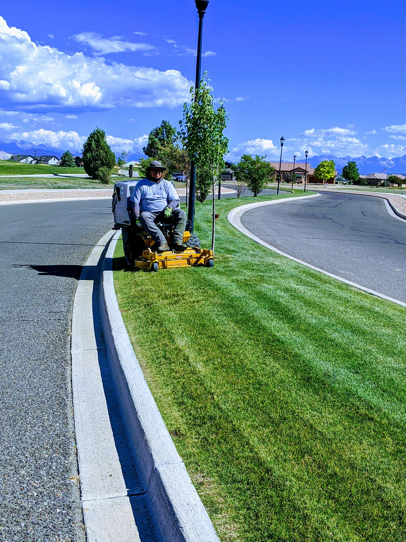 Man mowing grass along a road curb on a sunny day. Green lawn, blue sky, curved road, and buildings.