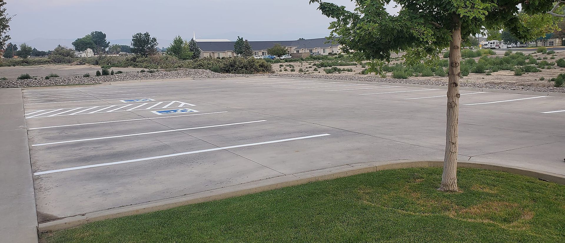 A mostly empty parking lot with white painted parking space lines. A tree stands in the foreground.