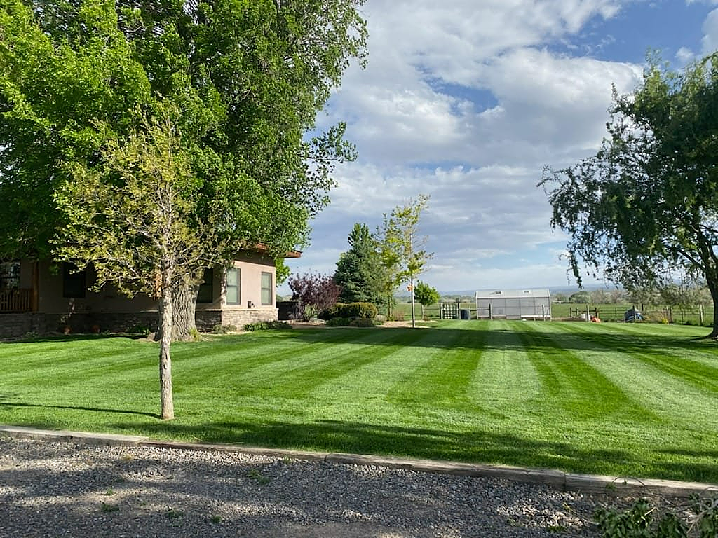 Lawn with freshly cut stripes; trees frame the view with a house on the left, fields, and sky in the distance.