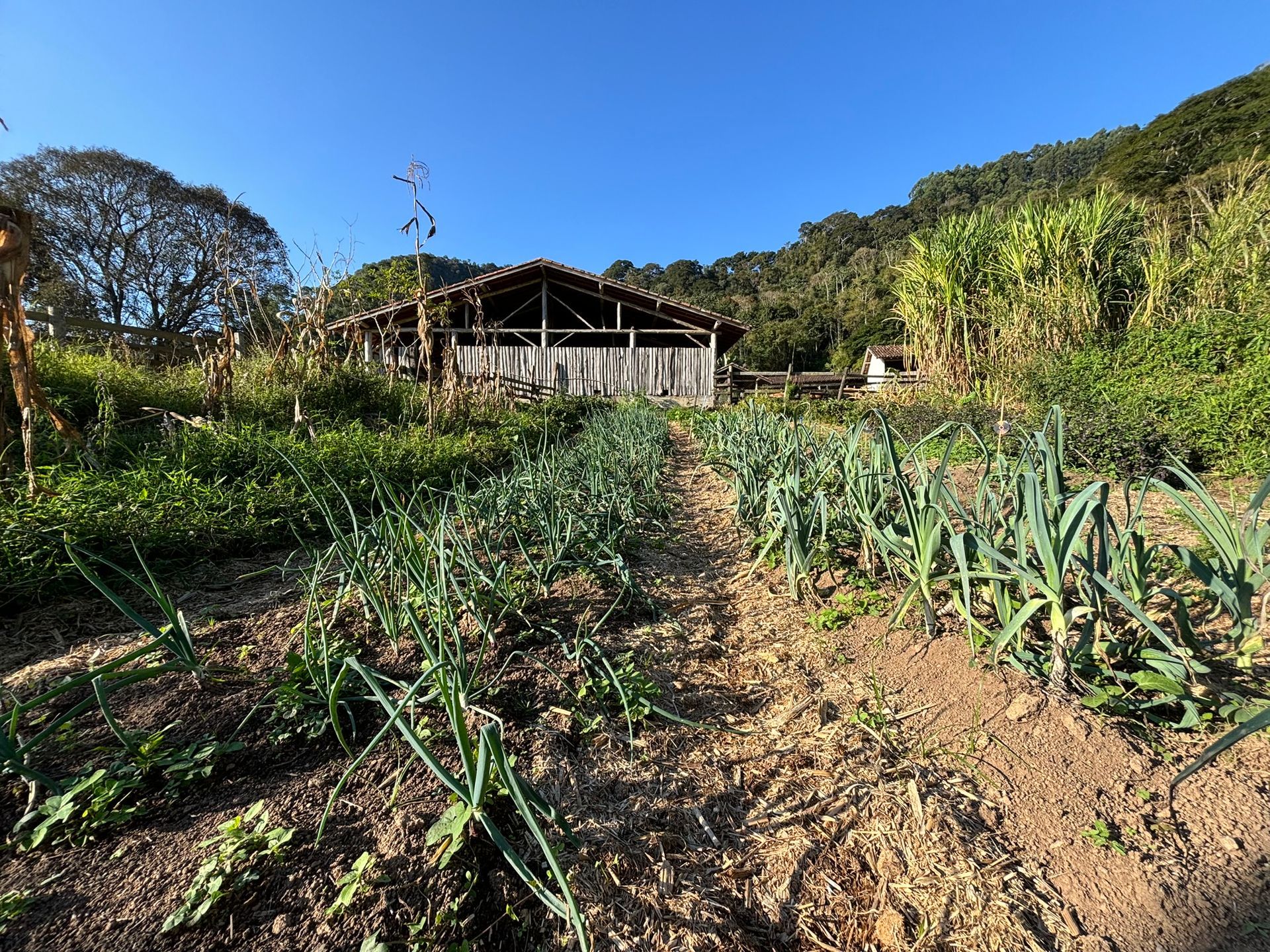 Sustentabilidade - Hotel Fazenda Auberge Suisse