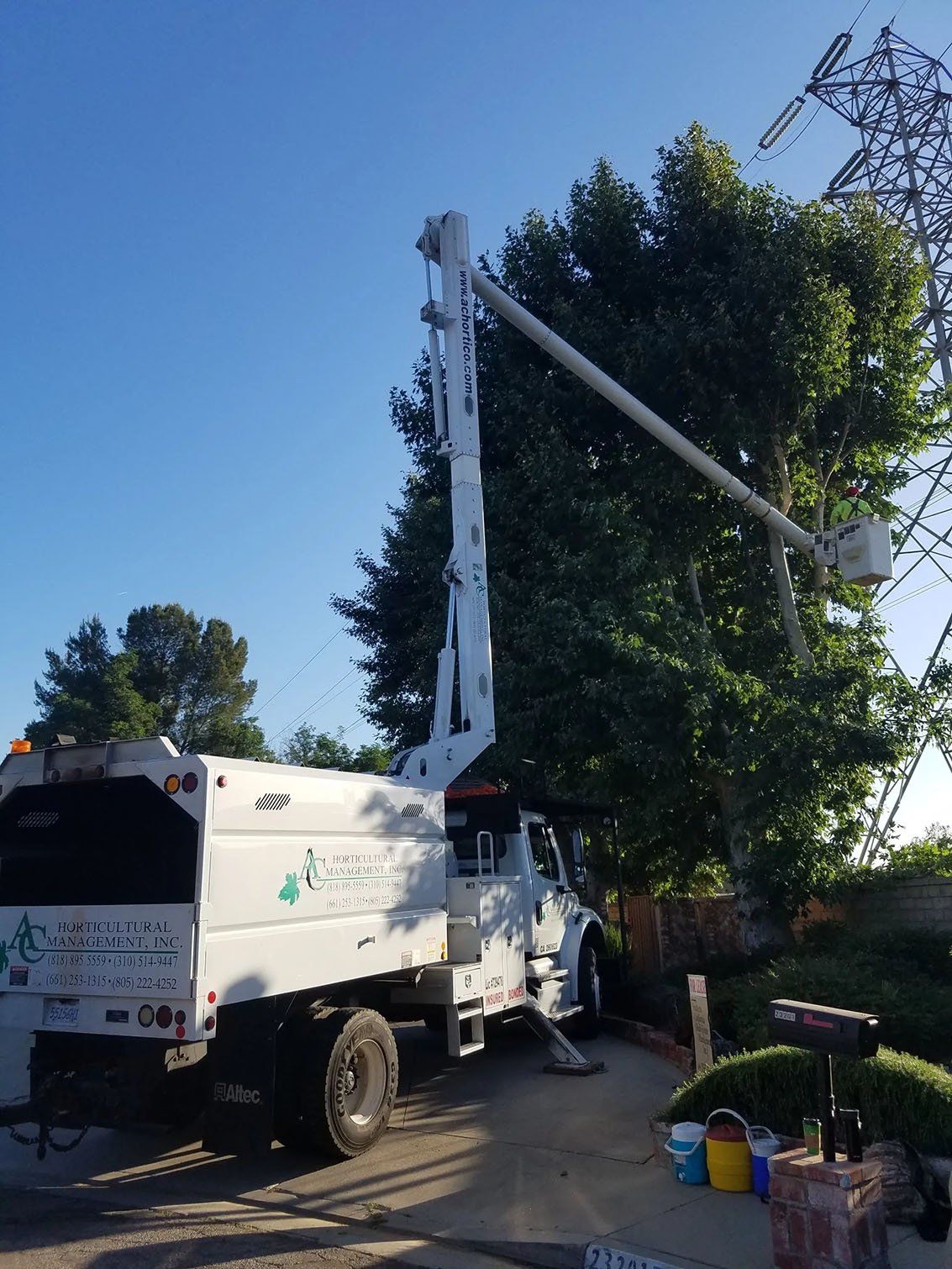 White truck with lift carrying worker trimming a tree — Chatsworth, CA — AC Horticultural Management, Inc.