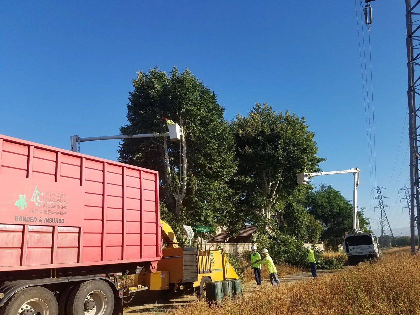 Multiple workers on road working on trees — Chatsworth, CA — AC Horticultural Management, Inc.