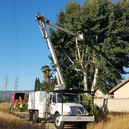 Lift on the back of white truck — Chatsworth, CA — AC Horticultural Management, Inc.