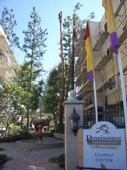 Abundance of trees in leasing center — Chatsworth, CA — AC Horticultural Management, Inc.