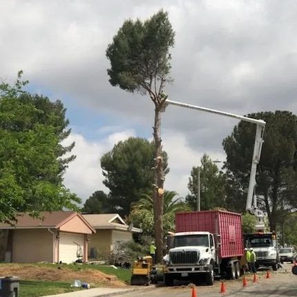 Two trucks parked in front of house — Chatsworth, CA — AC Horticultural Management, Inc.