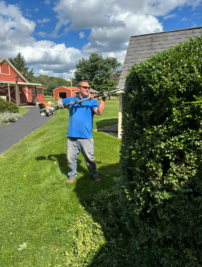 Backyard with trees, grass, mulch, and a wooden fence.