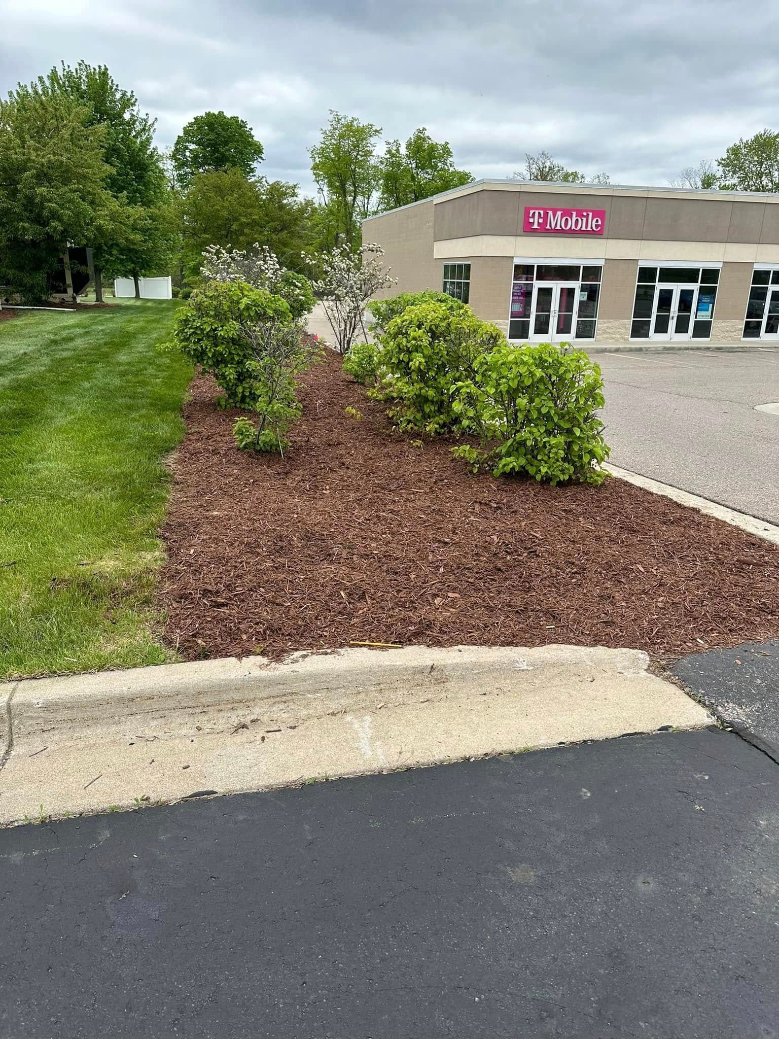 Landscaped flower bed with brown mulch, green shrubs, and a paved parking lot with a T-Mobile store in the background.