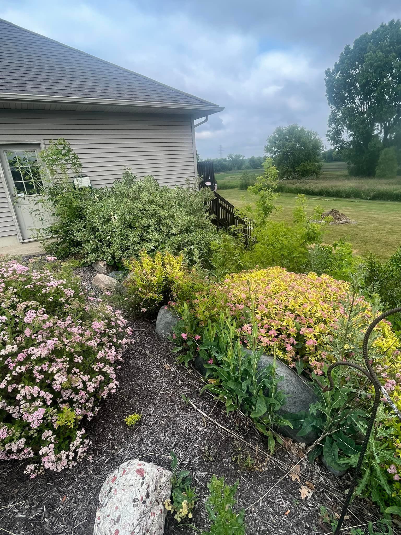 Garden bed with colorful flowers, green shrubs, and a building under a cloudy sky.