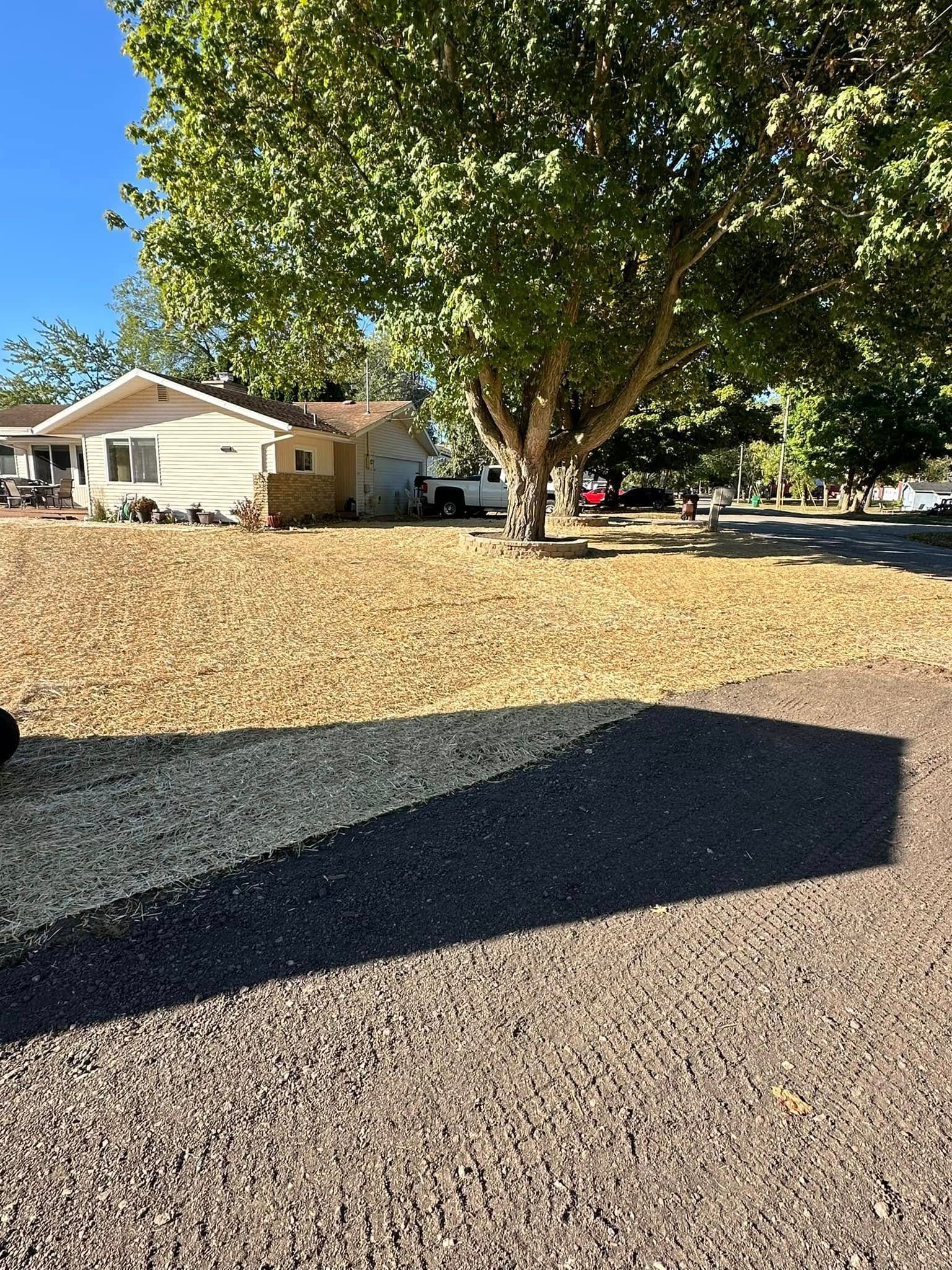 House with a large tree in front. Dry grass, gravel driveway, bright sunny day.