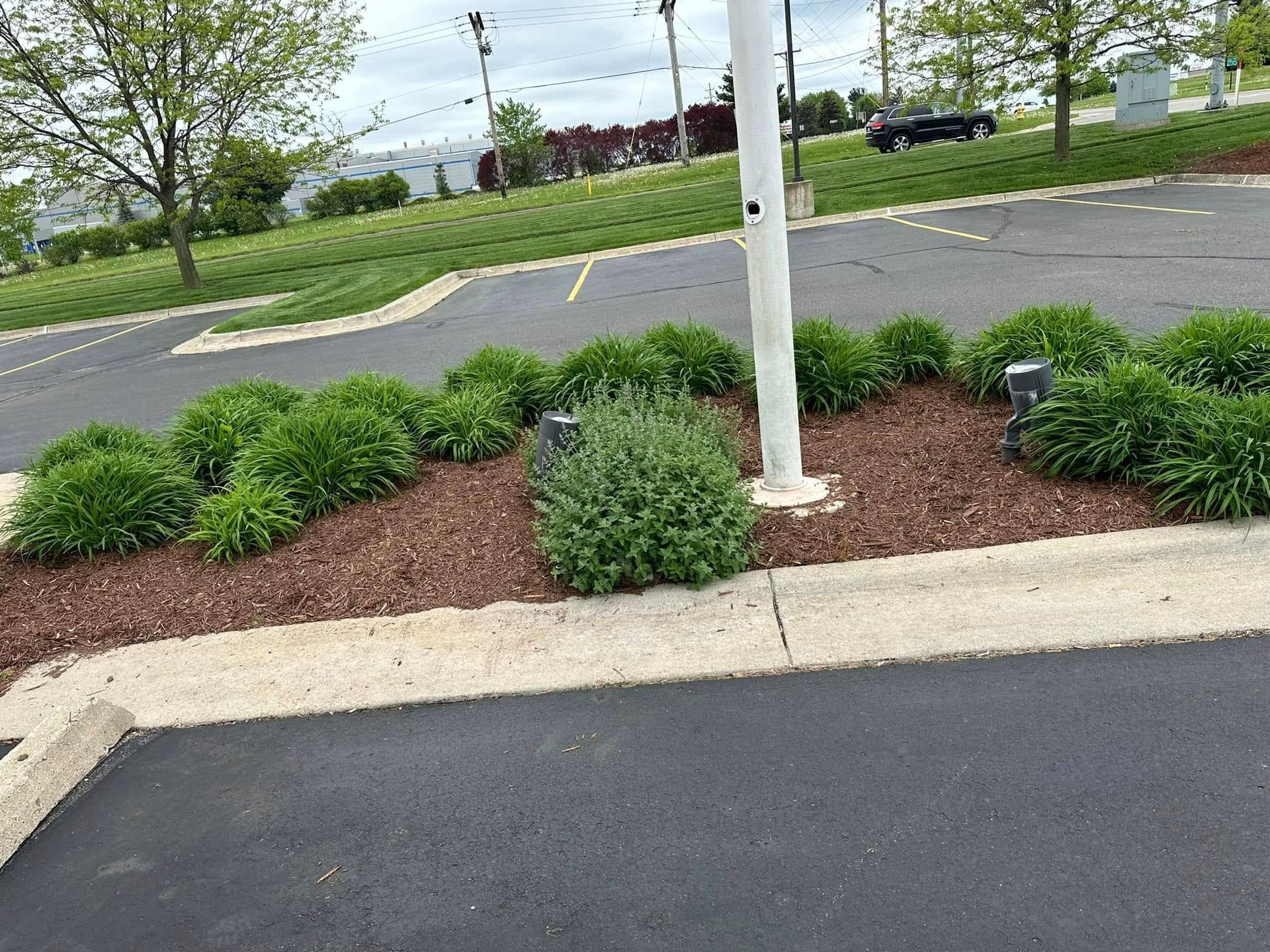 Flower bed with green plants, brown mulch, and a white pole next to a parking lot.