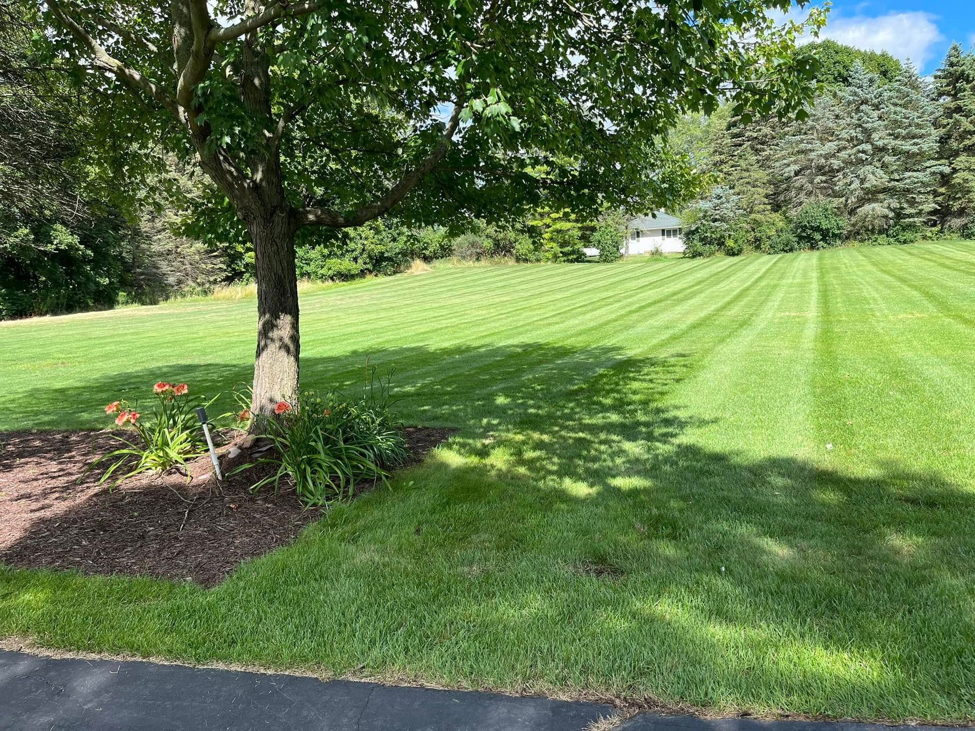 Lawn with a tree casting a shadow on a section of neatly cut green grass. Garden bed with flowers.