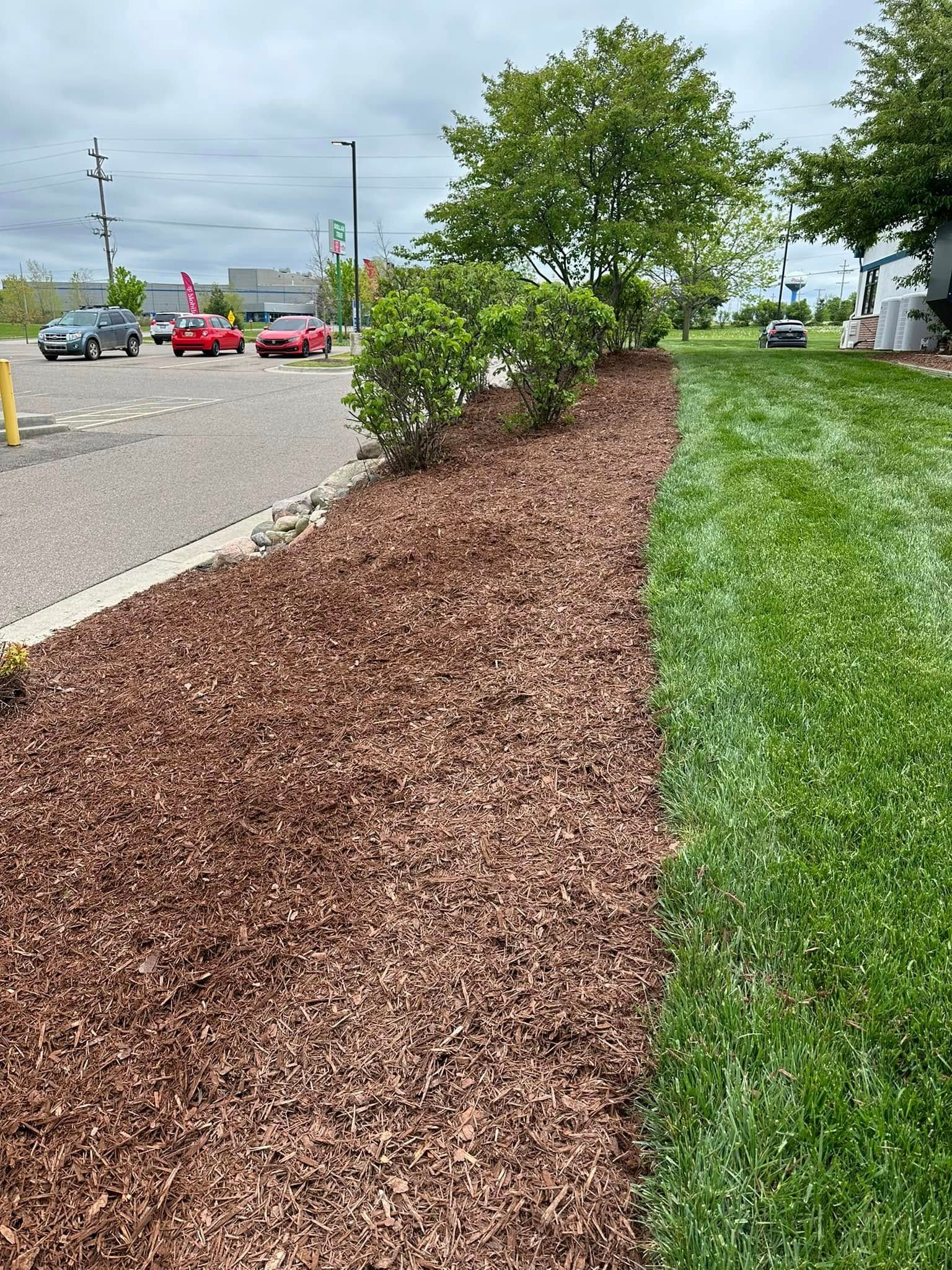 Brown mulch bed next to a green lawn with shrubs and trees. Cars are parked in the background.
