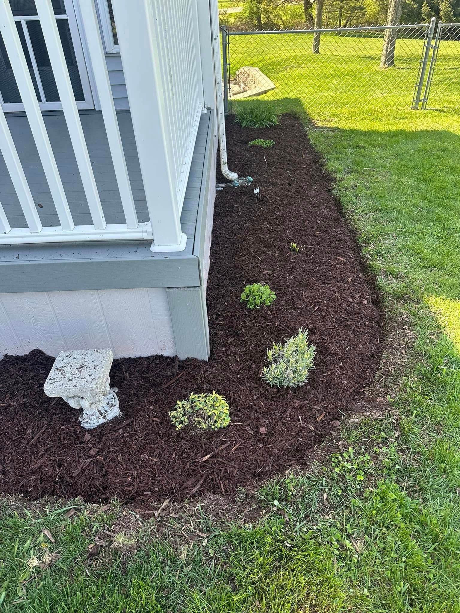 Garden bed with brown mulch and small green plants next to a house with gray siding and a white porch.