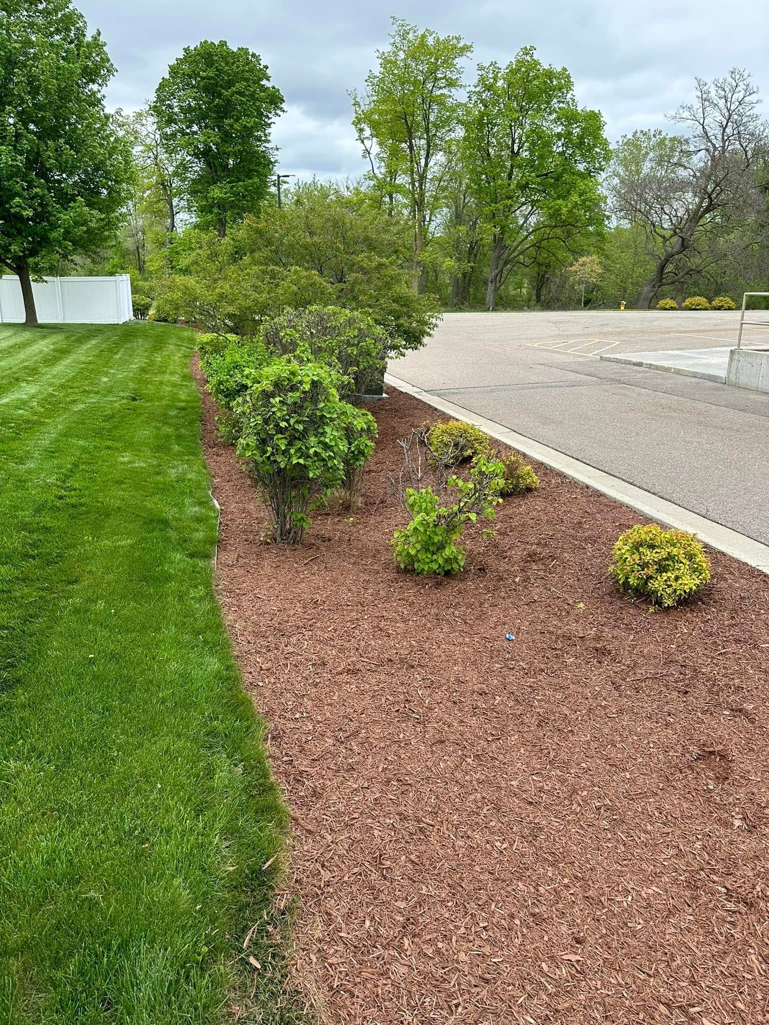 Lush green grass borders a bed of brown mulch with small shrubs. A gravel driveway and trees are in the background.