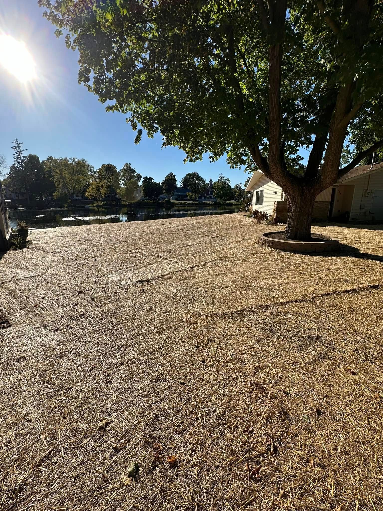 Gravel-covered yard with a large tree. A building is to the right. Trees and sunlight in the background.