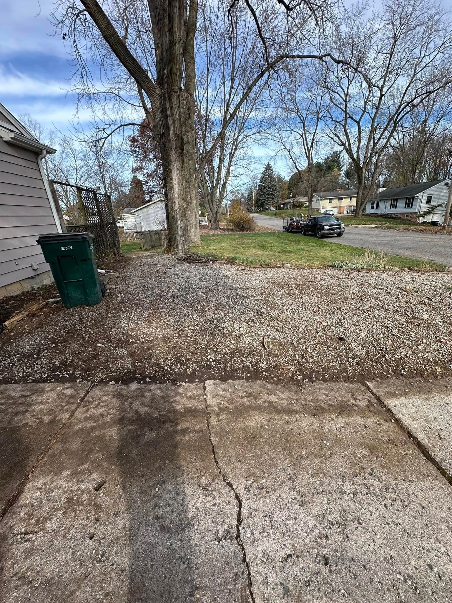 Driveway covered in small white objects, likely tree blossoms, next to a tree and garbage bin