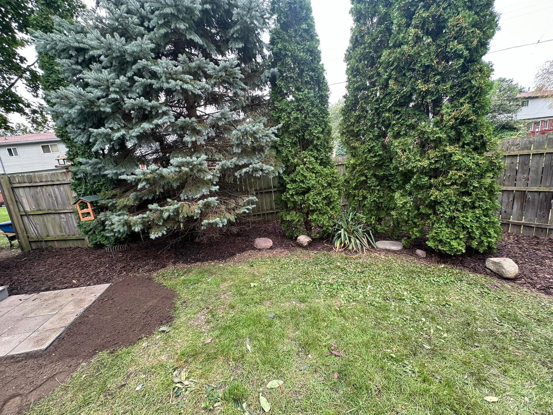 Backyard with trees, grass, mulch, and a wooden fence.
